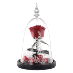 Valentine Gift Beauty and the Beast Rose Eternal Flower with LED Light Home Decoration Wedding Valentine Gift for Mom Girlfriend