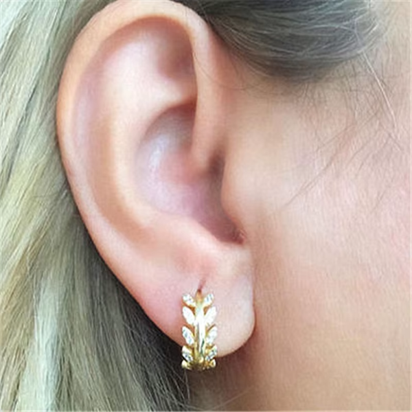 Silver Color Hot Selling Leaves Full Zircon Hoop Earrings Female Fashion Simple Gorgeous Jewelry Valentine Gift