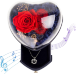 Preserved Rose and Necklace in Music Box, Rose Box with Jewelry. Christmas Gifts for Women, Unique Christmas Gifts Ideas for Wife Mom Grandma Daughter Sister Family Friends